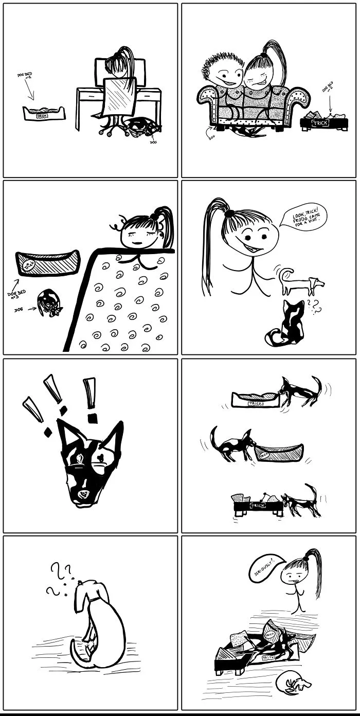 Why I Love My Dog