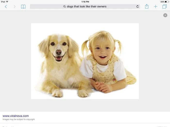 Young girl and golden dog lying side by side, showcasing a cute celebrity doppelganger animals resemblance.