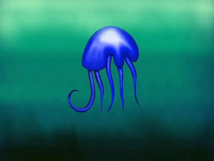 Jellyfish!