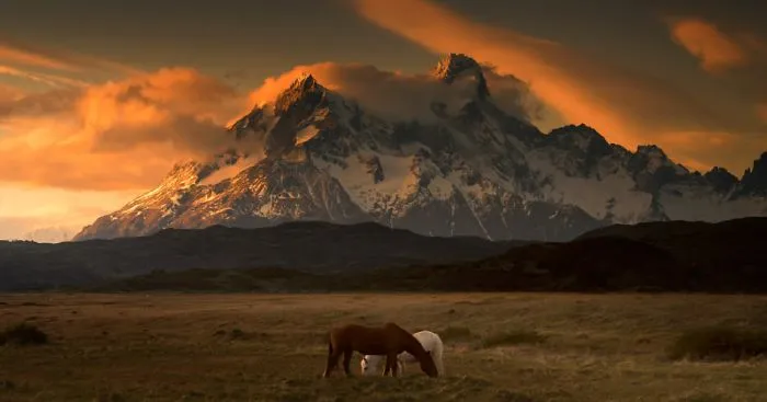 Photographer Travels To The Edge Of The World To Capture The Breathtaking Beauty Of Patagonia