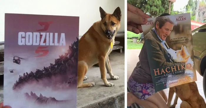 Instagrammer Combines Famous Movie Posters With Real-Life Puppies