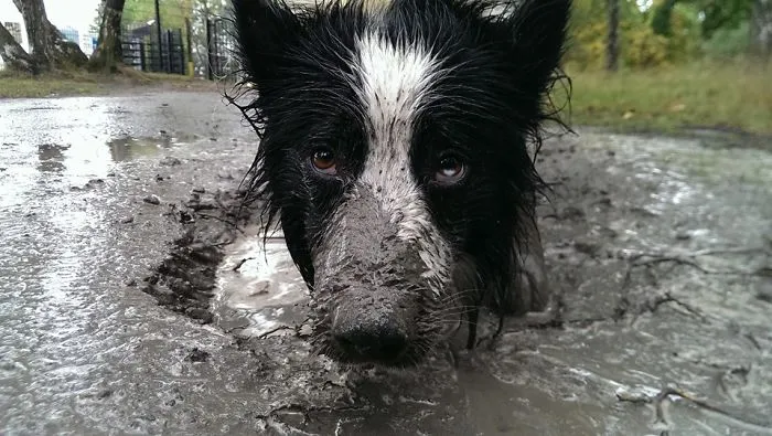 Joepie Takes A Bath...