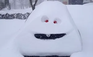 72 Pics That Perfectly Capture How Insane #Blizzard2016 Is