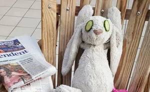 Little Girl Forgets Her Stuffed Bunny At Hotel, Staff Takes It On Adventure