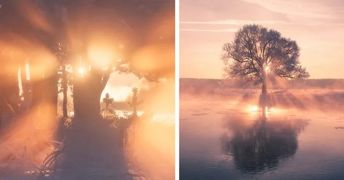 Belarusian Photographer Wakes Up Early In The Morning To Capture The Beauty Of Winter