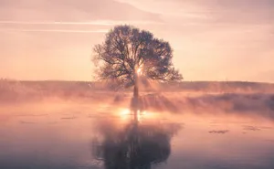 Belarusian Photographer Wakes Up Early In The Morning To Capture The Beauty Of Winter