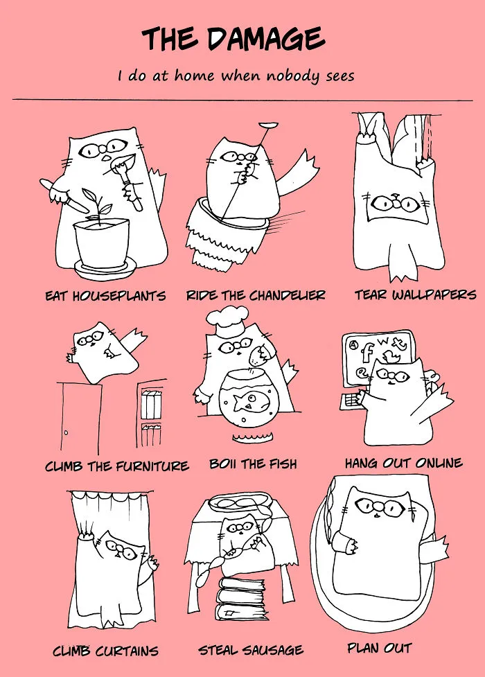My Cat Created The Reader's Kama Sutra