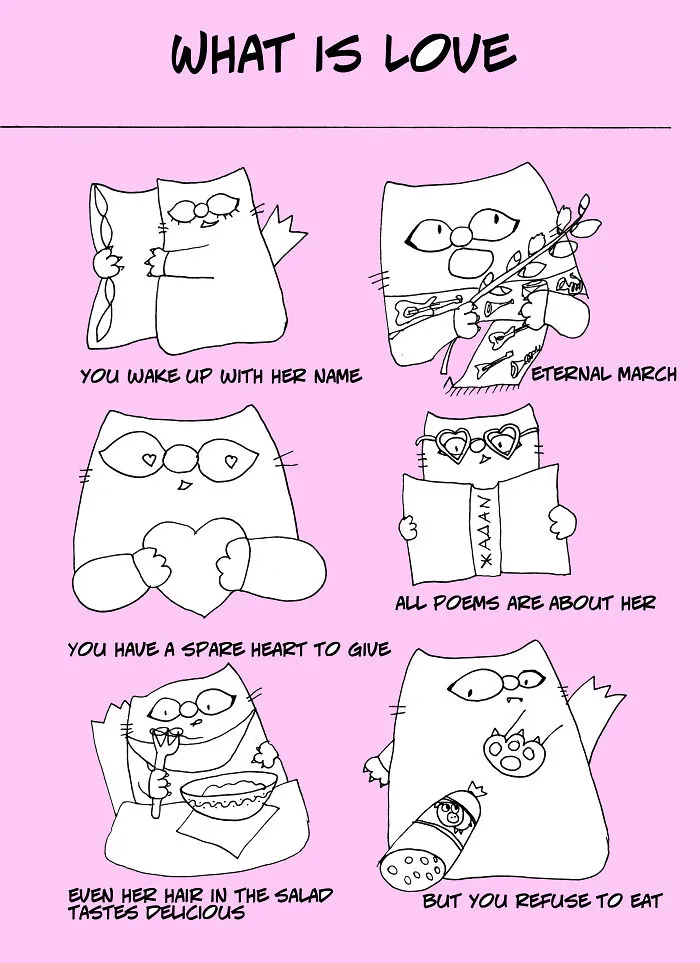 My Cat Created The Reader's Kama Sutra