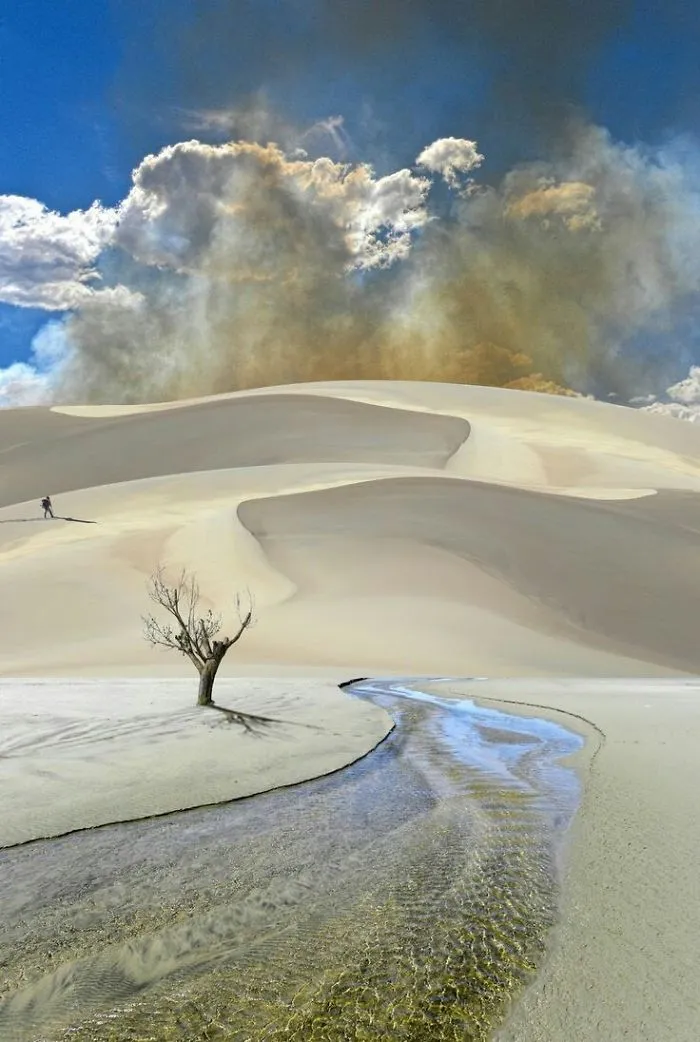 Nature Picture