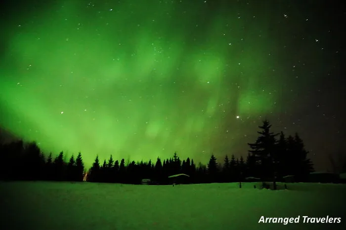 Northern Lights - Checked