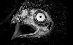 Oh No, Monday Is Here Again!