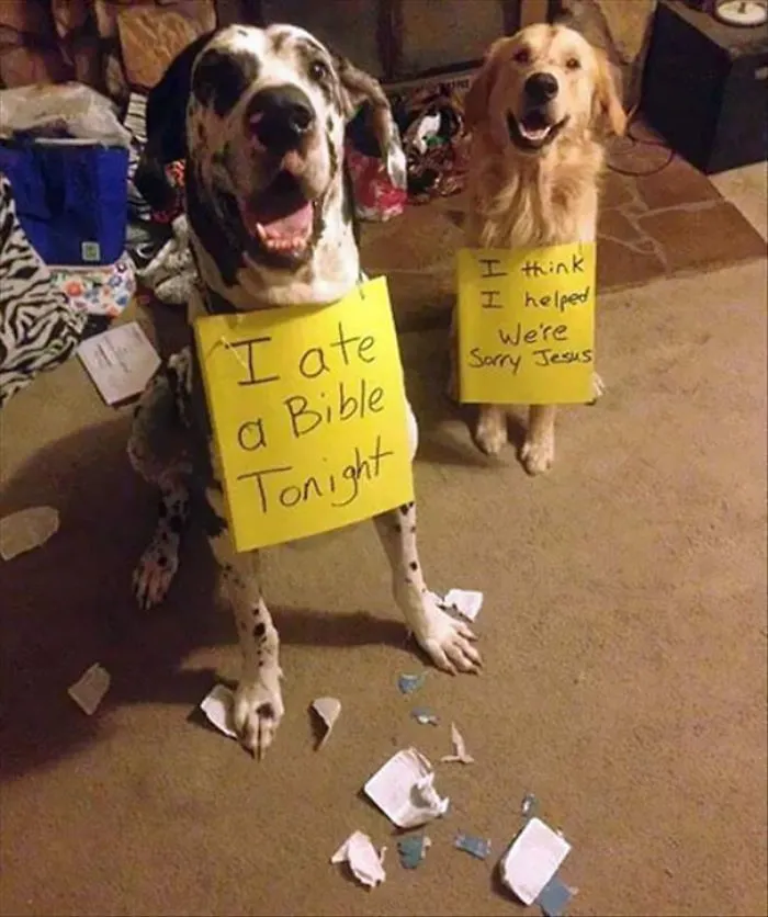 Great Teamwork