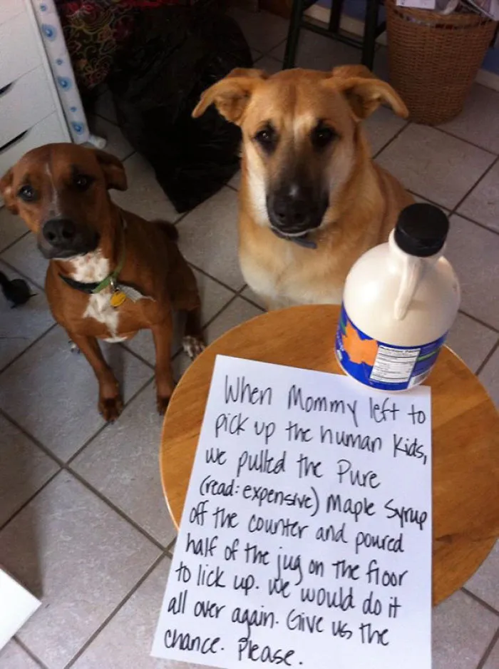 Sticky Situation