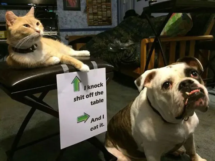 Teamwork