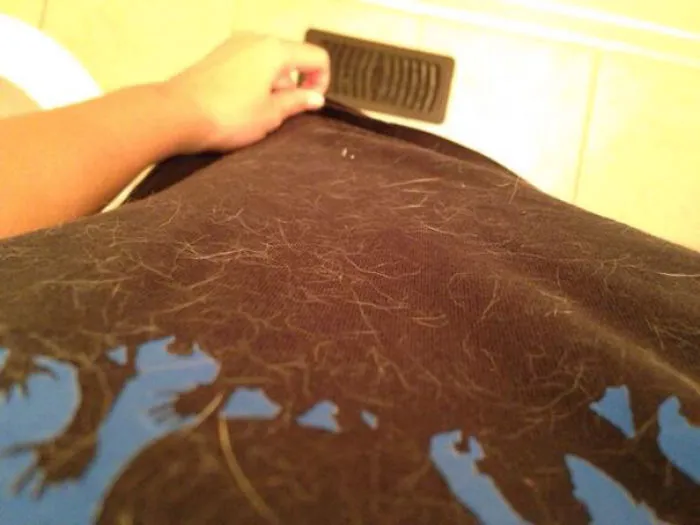 My Shirt Looks Amazing With Dog Fur All Over It