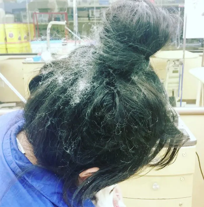 Dog Hair And My Messy Bun