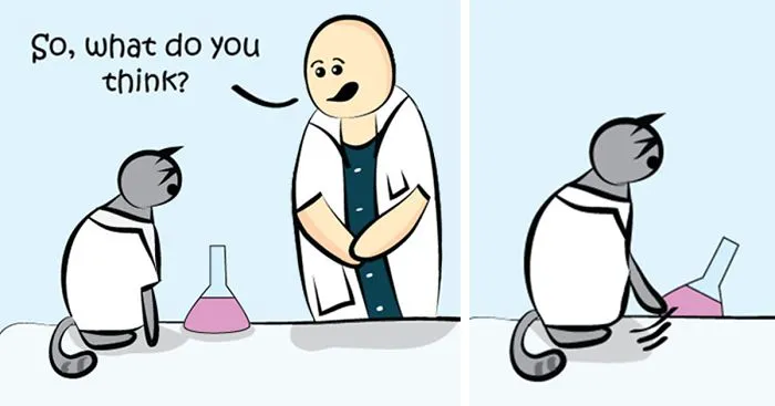 Science Cat At Work