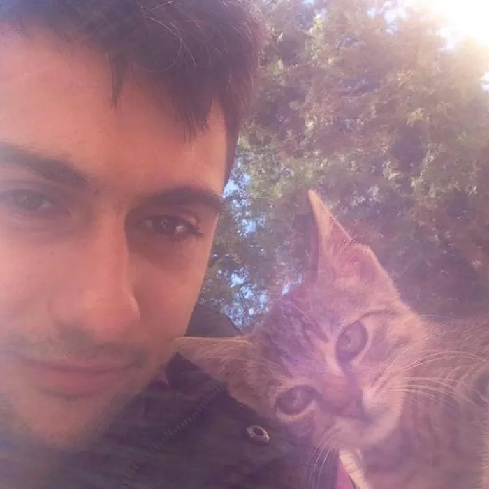 Stray Cat