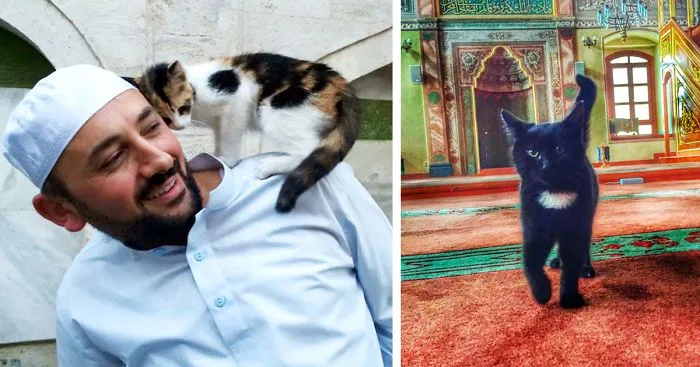 Imam Opens Mosque's Doors To Stray Cats To Keep Them Warm