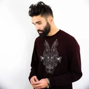 Tarek Besbes