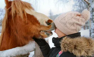 I Tried Out 6 Fun Winter Activities In Finland