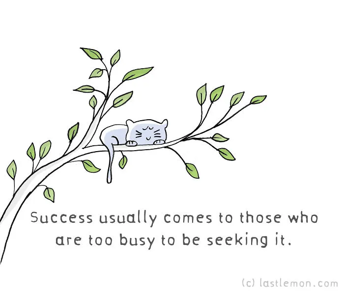 10 Motivational Quotes From Cats