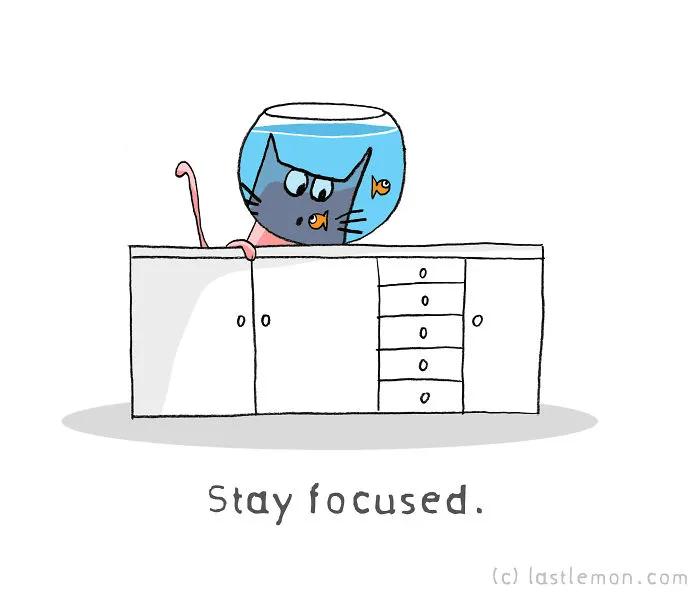 10 Motivational Quotes From Cats