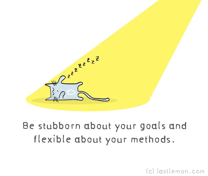 10 Motivational Quotes From Cats