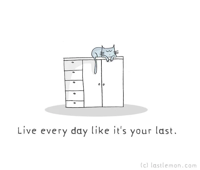 10 Motivational Quotes From Cats