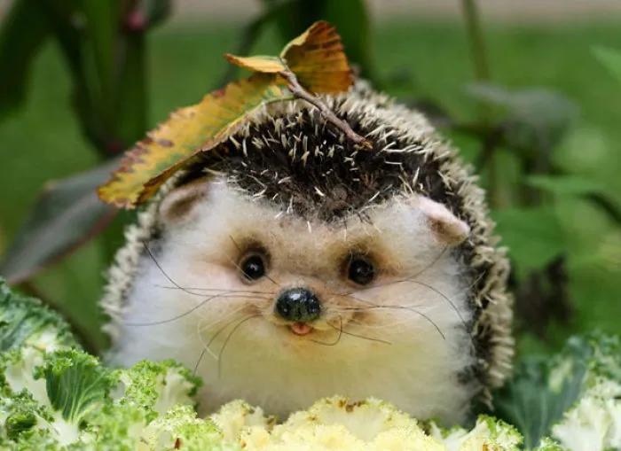 10 Pictures Of Smiling Animals Will Light Up Your Day
