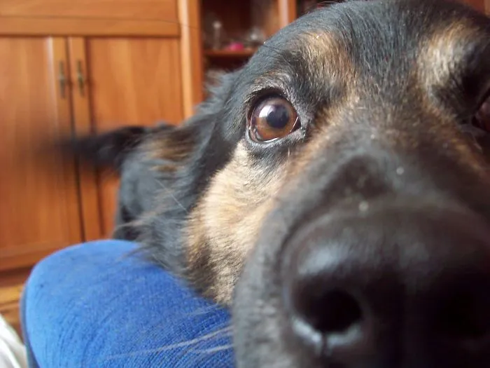 Oh.. Just Making Sure You Still Remember Me!