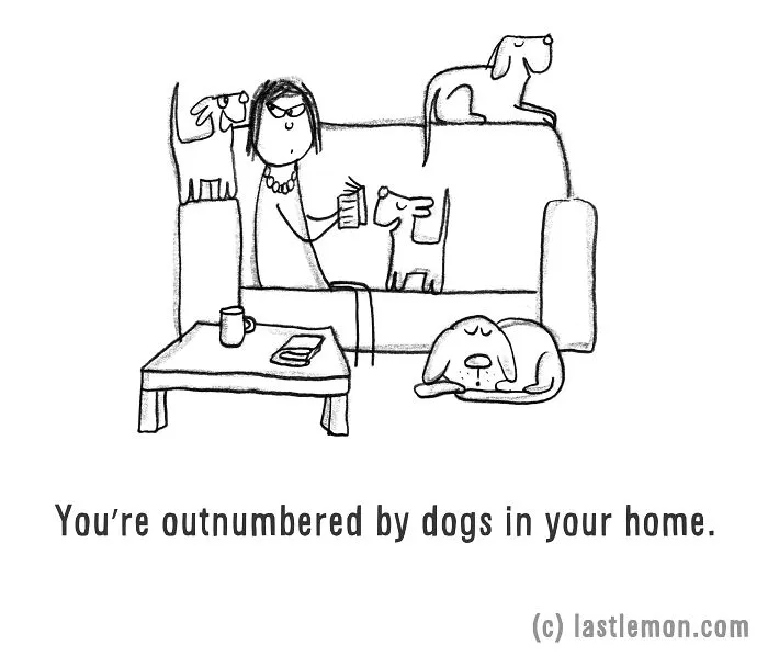 11 Ways To Tell If You're A Crazy Dog Parent