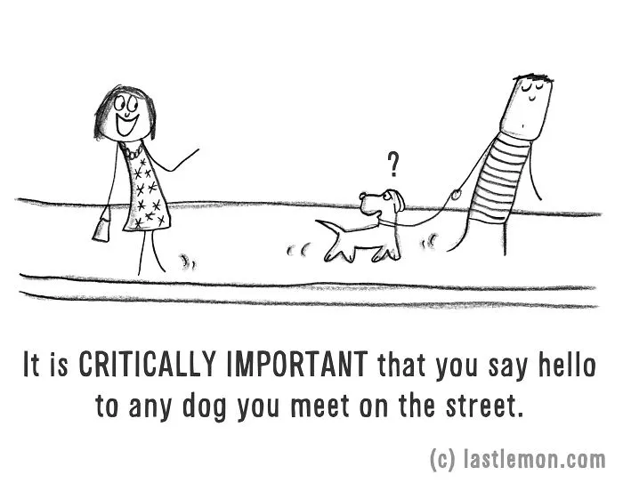 11 Ways To Tell If You're A Crazy Dog Parent