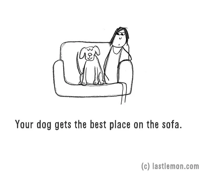 11 Ways To Tell If You're A Crazy Dog Parent