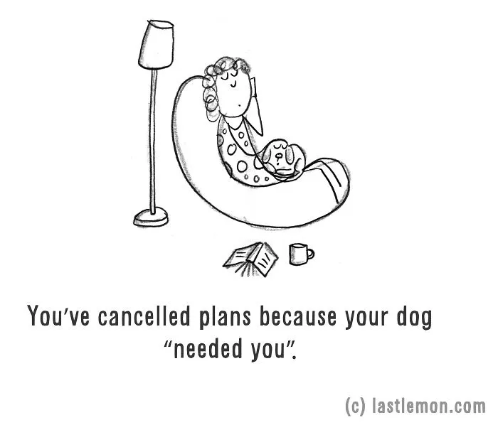 11 Ways To Tell If You're A Crazy Dog Parent