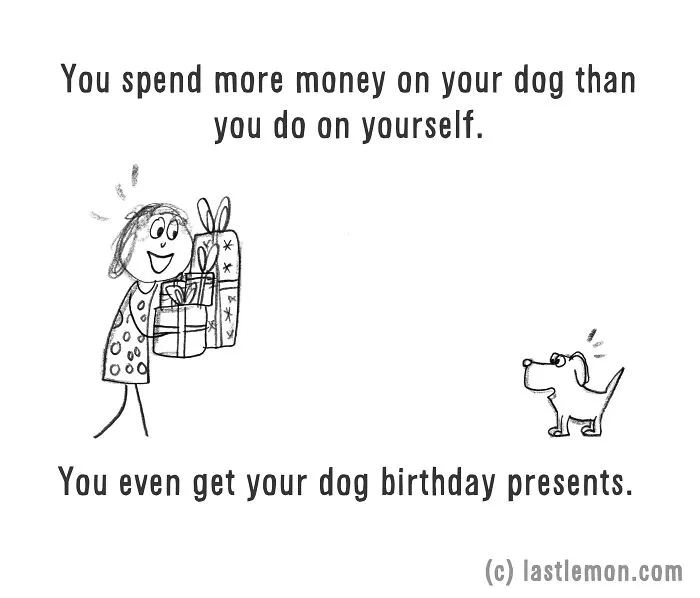 11 Ways To Tell If You're A Crazy Dog Parent
