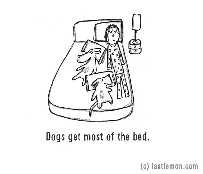 11 Ways To Tell If You're A Crazy Dog Parent
