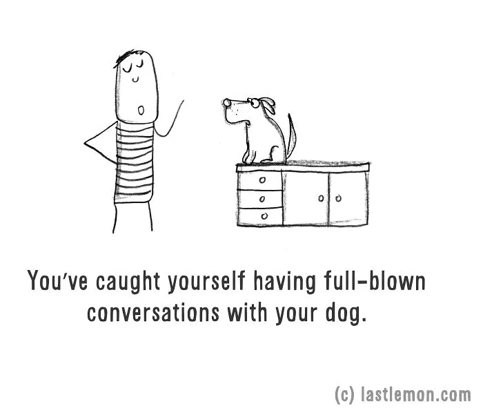 11 Ways To Tell If You're A Crazy Dog Parent