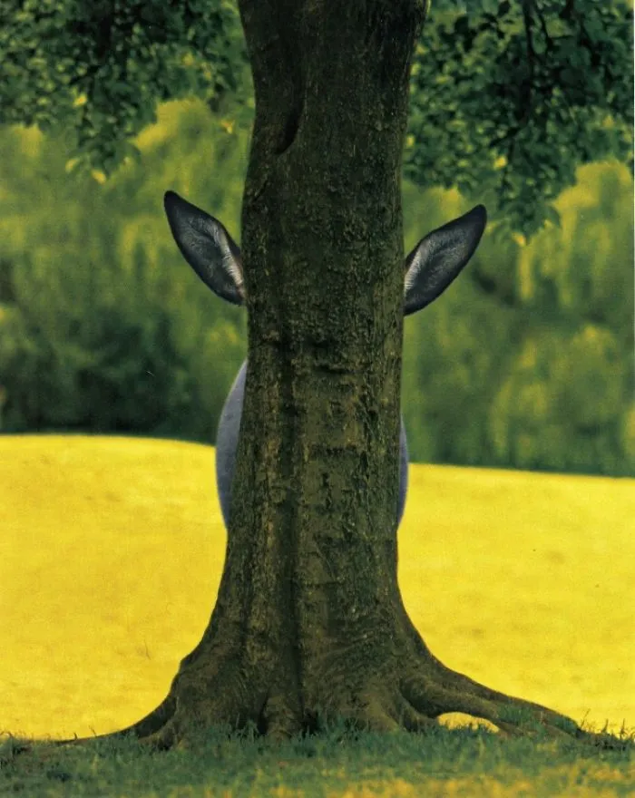30 Incredible Photos That You Won’t Believe Are Real
