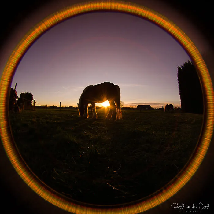 I Capture My Daily Views Through The Fish Eye Lens