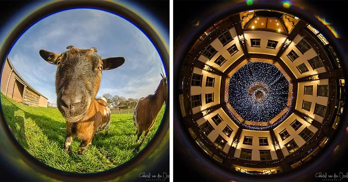 I Capture My Daily Views Through The Fish Eye Lens