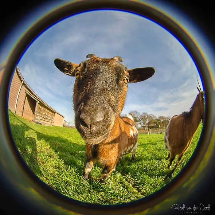 I Capture My Daily Views Through The Fish Eye Lens