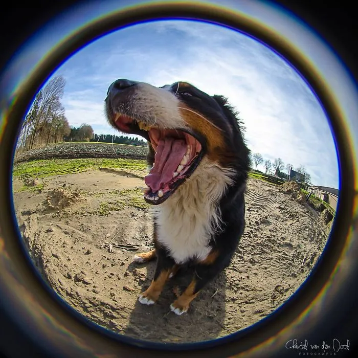 I Capture My Daily Views Through The Fish Eye Lens