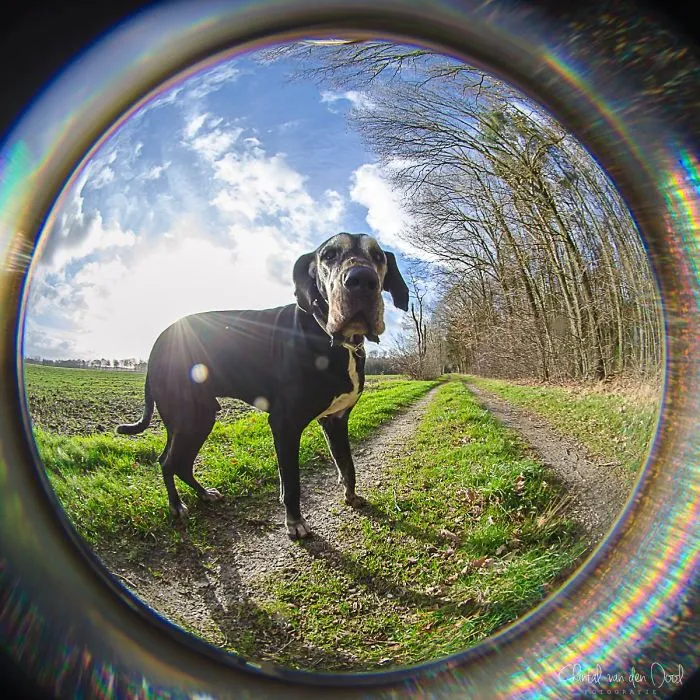 I Capture My Daily Views Through The Fish Eye Lens