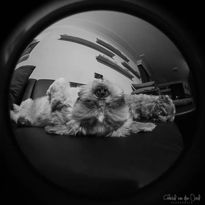 I Capture My Daily Views Through The Fish Eye Lens