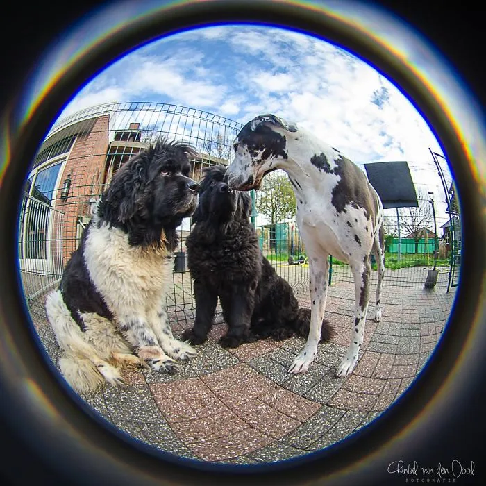 I Capture My Daily Views Through The Fish Eye Lens
