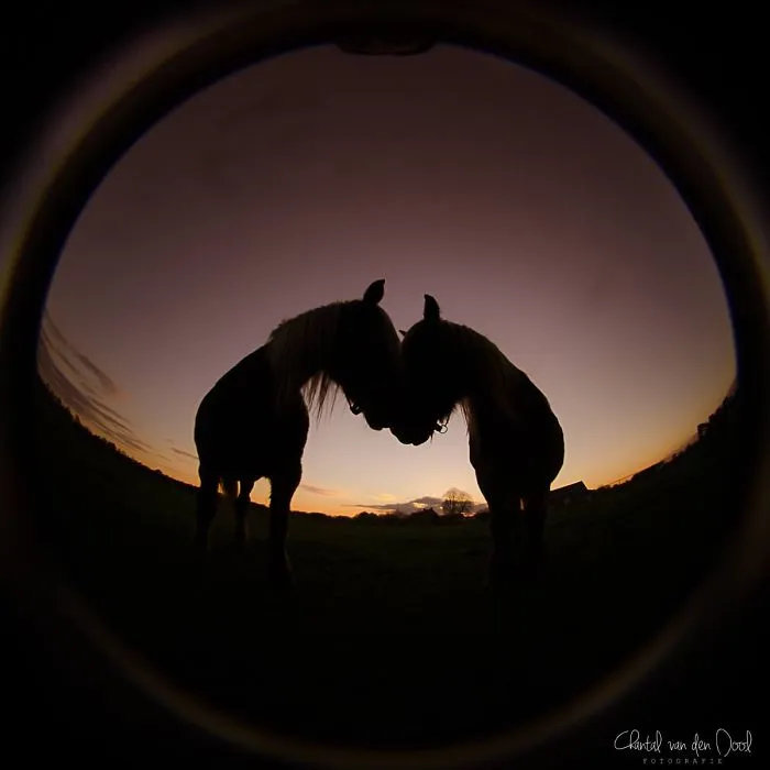 I Capture My Daily Views Through The Fish Eye Lens