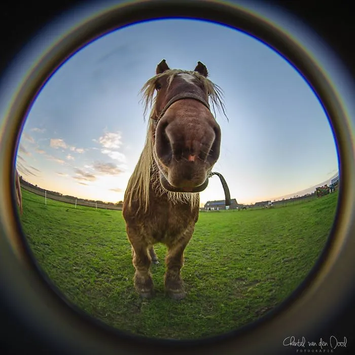 I Capture My Daily Views Through The Fish Eye Lens