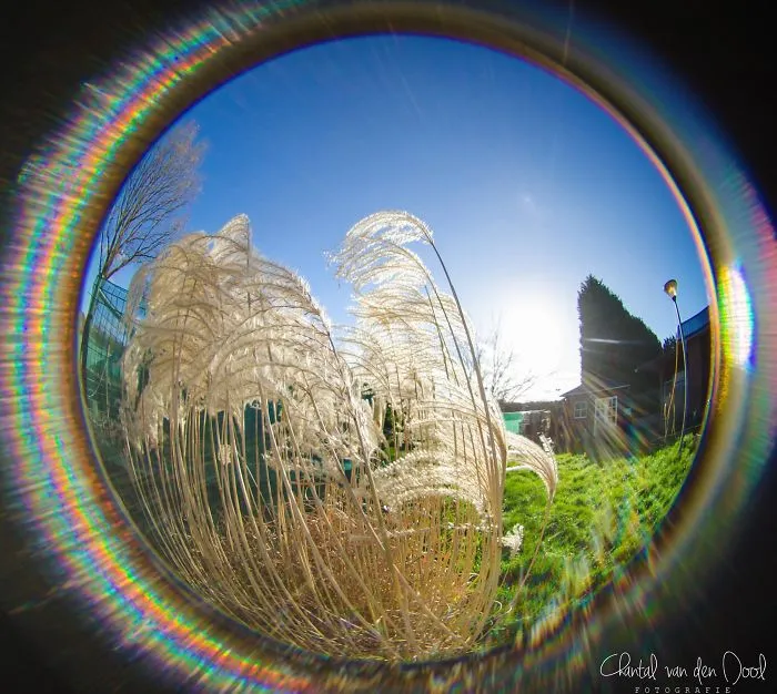 I Capture My Daily Views Through The Fish Eye Lens