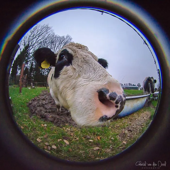 I Capture My Daily Views Through The Fish Eye Lens